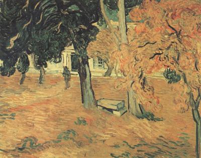 Vincent Van Gogh The Garden of Saint-Paul Hospital (nn04) China oil painting art